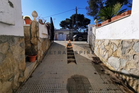 Villa i Can Picafort, Mallorca, Can Picafort - € 680.000 | Ref: UA483 - foto 19